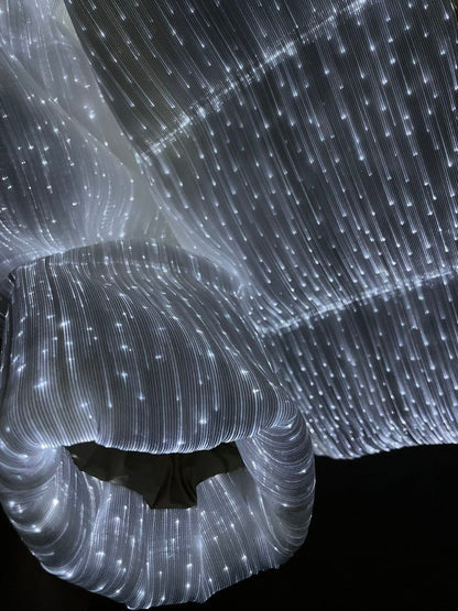 Luminous Down Jacket